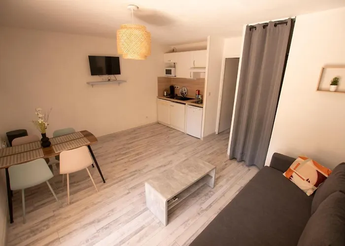 Le Petit Pyreneen - Centre; Terrasse; Parking *